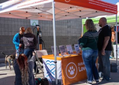 A Space for Second Chances: Mark Miller Subaru Helps SLCAS Build a Brighter Future for Shelter Pets 