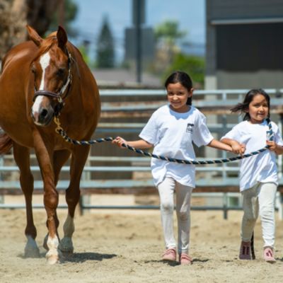 Subaru of Sherman Oaks Says "Yes" to Taking the Reins