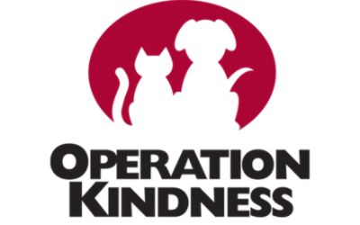 partnerCompanyName