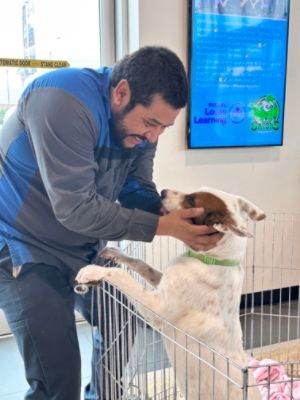 Subaru Loves Pets – Celebrating Love, Loyalty, and Second Chances