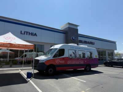 Lithia Subaru Love Leads the Way: Sponsored Second Chances for All – Faith Z.
