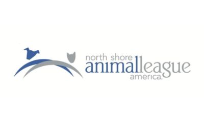 partnerCompanyName