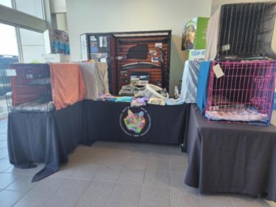 Subaru Adoption Event