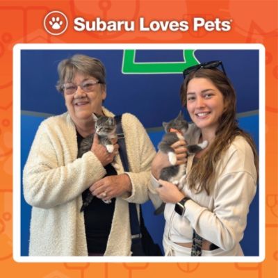 802 Subaru & Central Vermont Humane Society: Going the Extra Mile for Vermont’s Pets