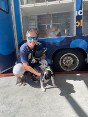 Making Tails Wag at Peoria Subaru!