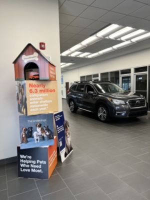 Subaru of Morgantown visits our local shelter!