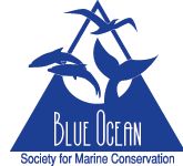 Blue Ocean Society
