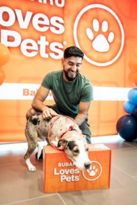 Baldwin Subaru Drives Lifesaving Impact for St. Tammany Animals – Subaru Loves Pets 2025