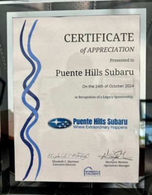 The Women's And Children's Crisis Shelter Domestic Violence Symposium & Fundraising Event