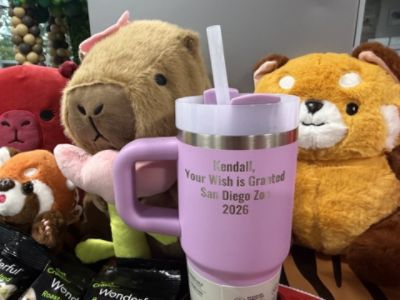 The Red Panda Wish