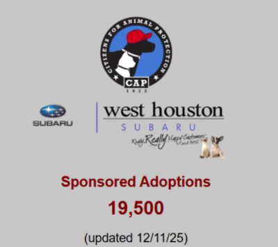 A Partnership Rooted in Action, Compassion, and Community