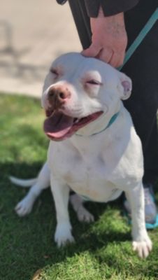 Gratitude and Forever Family 