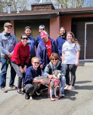 Anchor Subaru Sponsors 12 RISPCA Adoptable Dogs!