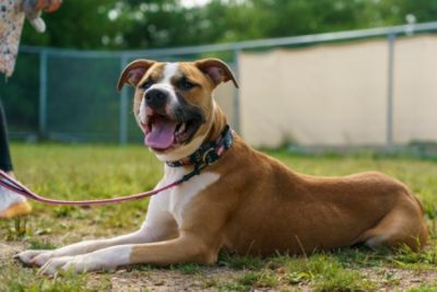 Spreading the word about Gold Hearts