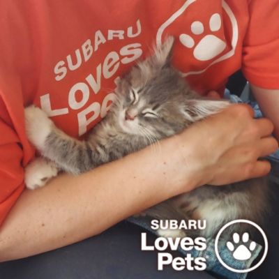 A Thousand Second Chances: Celebrating Our Biggest Milestone Yet!