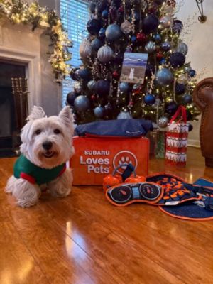 Charlie's 2025 Christmas story 