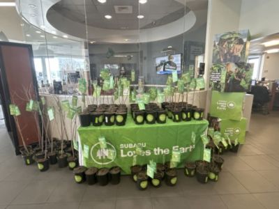 Arbor Day Tree Planting! 