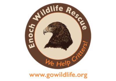 Enoch Wildlife Rescue