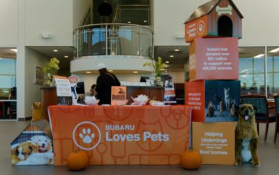 Five Star Subaru host the annual adoption event with Operation Kindness