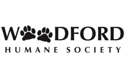 partnerCompanyName