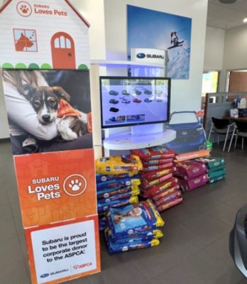 Southern States Subaru Supports Local Shelter Animals Through Love Mutts Donation Drive