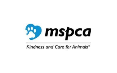 MSPCA Adoption Centers & Marketing