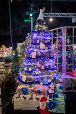 Providence Festival of Trees