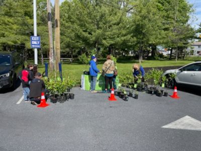 Arbor Day
