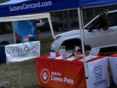 Dog's Day Out 2025