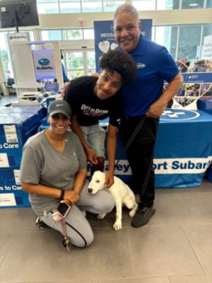 Pet Rescue by Judy Requested an Earlier-Than-Usual Adoption Event & Sport Subaru Obliged
