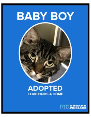 Baby Boy finds his forever home
