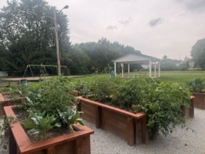 Yorktown Park - Community raised garden boxes