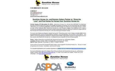 Sunshine Horses Inc.