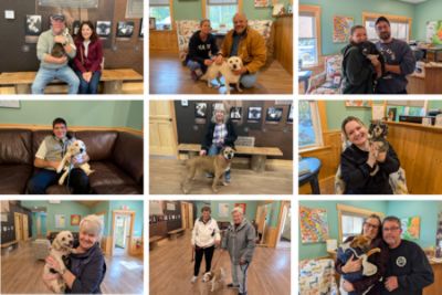 Tri-City Subaru and Grammy Rose Dog Rescue & Sanctuary Partner to Save Dogs from Euthanasia 