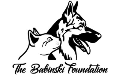 The Babinski Foundation