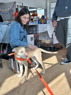 Subaru Loves Pets Month: A Community Coming Together for Animals