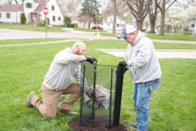 Trees for Papillion La Vista Schools
