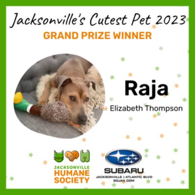 Jacksonville Humane Society's Cutest Pet Contest presented by Subaru of Jacksonville 