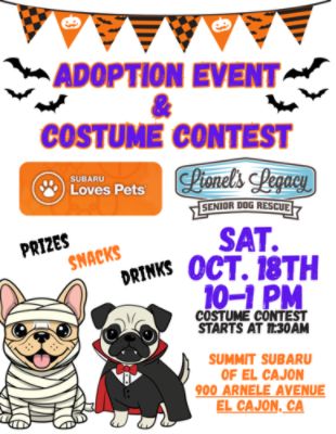 Lionel's Legacy and Summit Subaru Loves Pets 2026 - Bexzaida L.