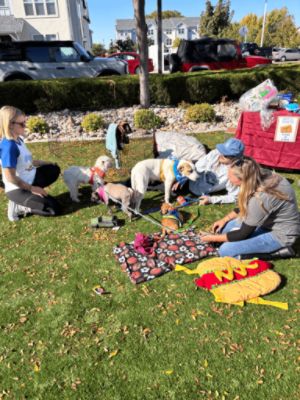Boise Subaru Loves Pets!