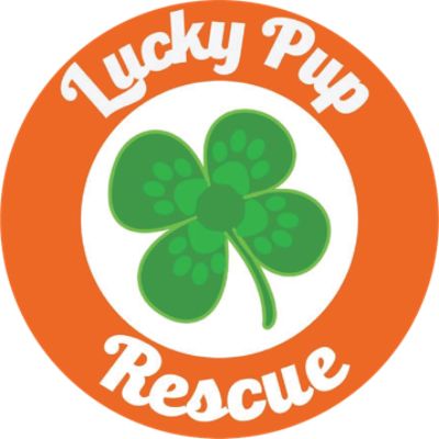 Lucky Pup Rescue