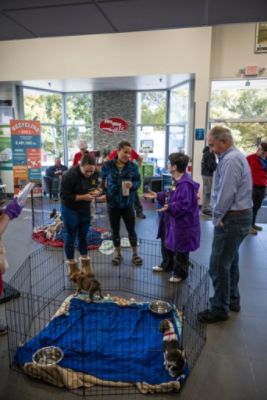 Subaru Loves Pets Month with the Humane Rescue Alliance