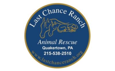 Last Chance Ranch Animal Rescue