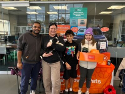Dog Adoption Record!