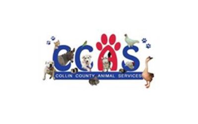 Collin County Animal Shelter
