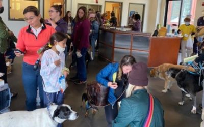 Cook Subaru opens their doors to help community