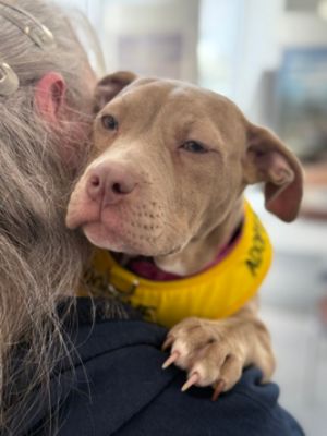 Out of the Pits and into your hearts!