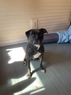 Sherlock's Second Chance