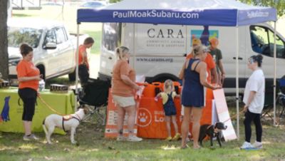 Paul Moak Subaru Sponsors Pet Parade at 2022 WellsFest