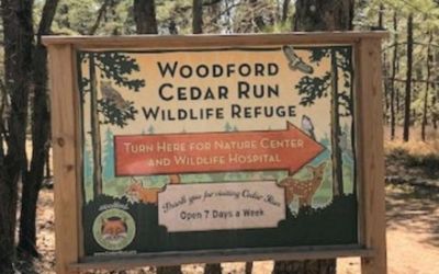 LG Subaru Loves the Earth: Cedar Run Wildlife